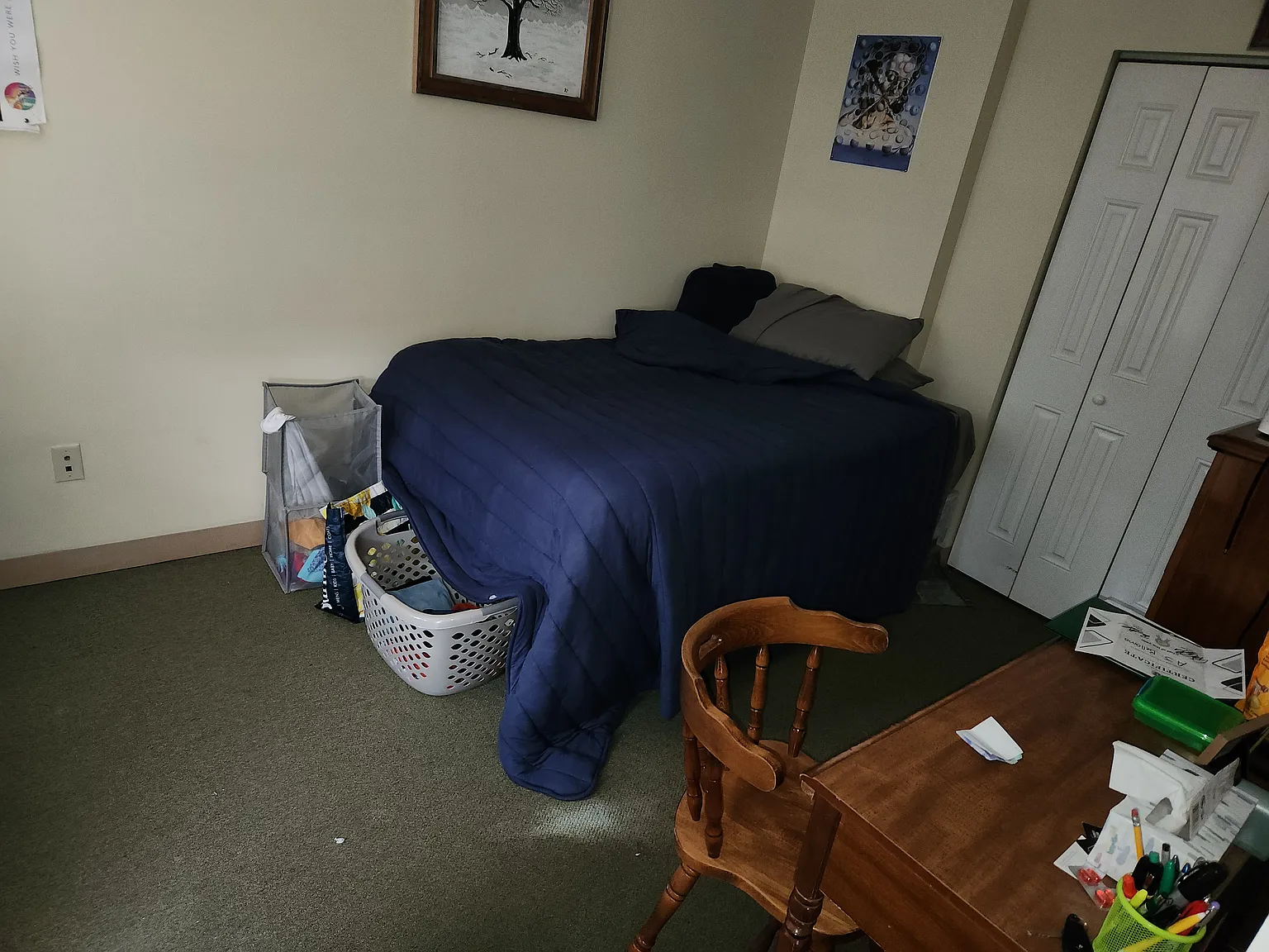 2 bed, 1100 sqft, $1,195 — Photo 3