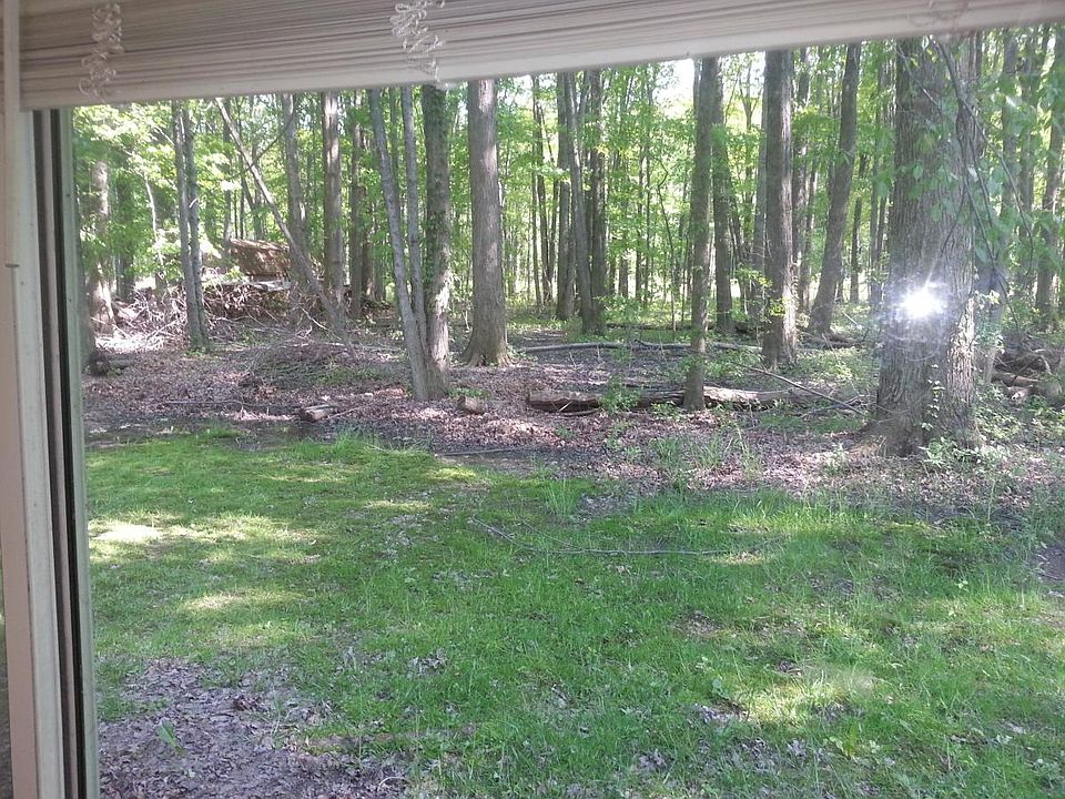 Back Patio overlooking woods - taken in the summer