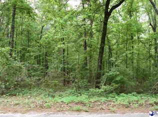 1756 & 1760 Jefferies Creek Blvd, Pamplico, SC 29583