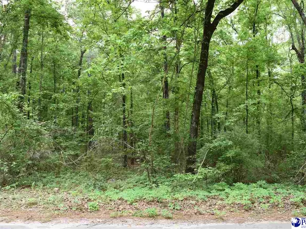 1756 & 1760 Jefferies Creek Blvd, Pamplico, SC 29583