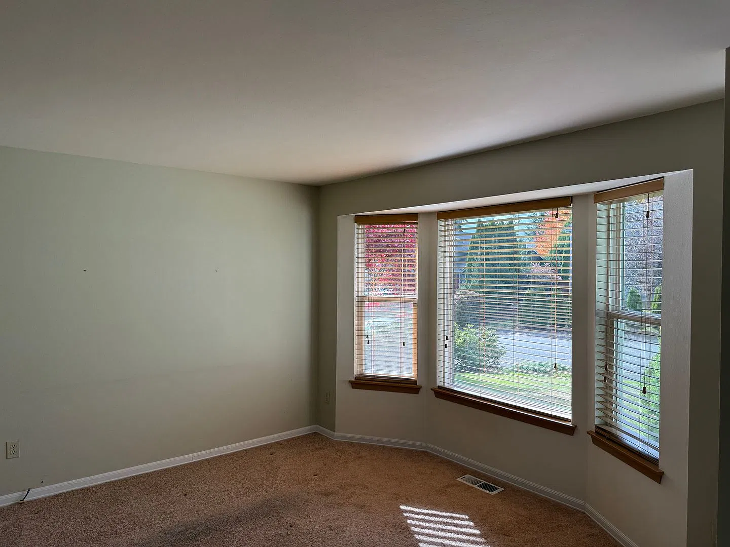 Charming Rambler in Diamond Hills — Photo 4