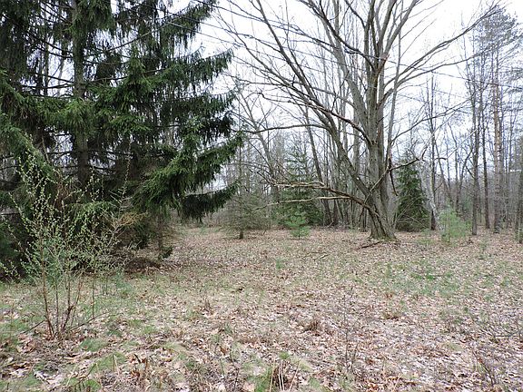 Southwest from the house