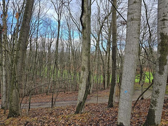 3rd image of 9680 Pere Marquette Dr