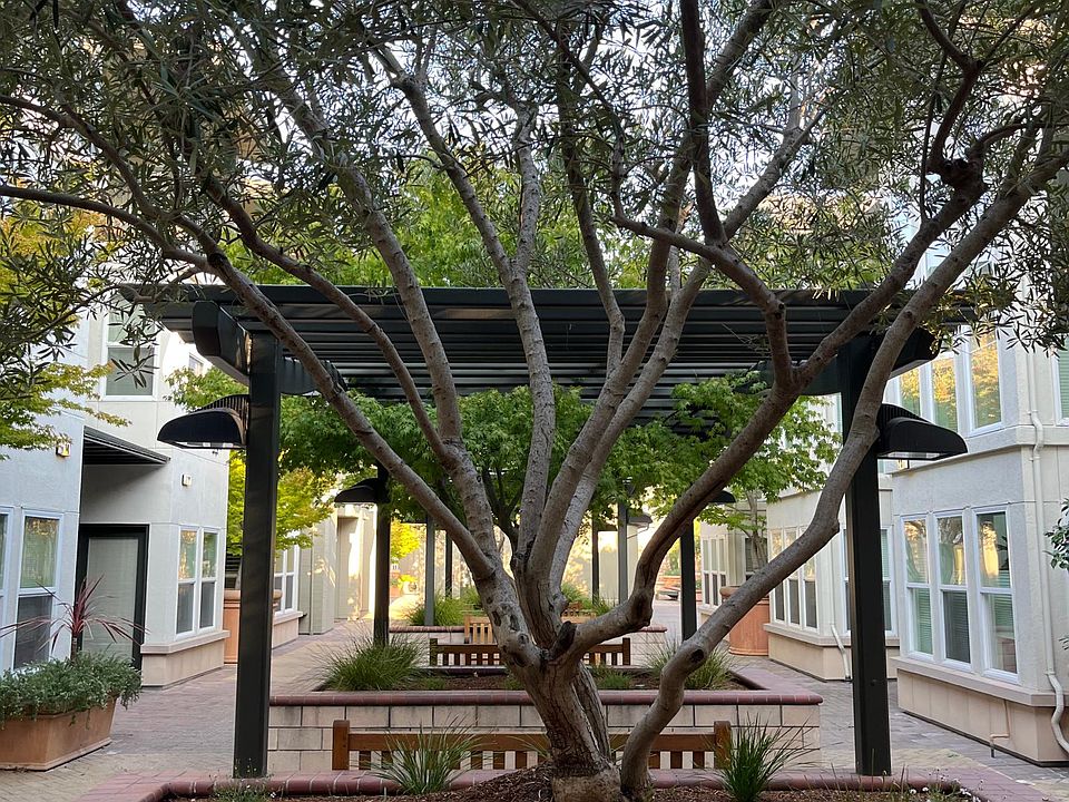 Our courtyard look from our front door