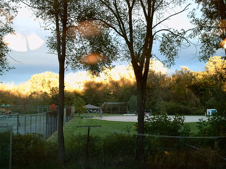 Kitchen view of park