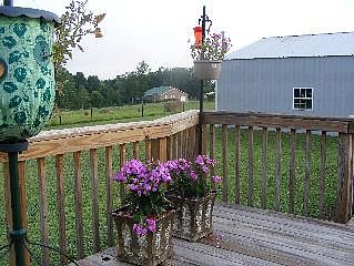 Back Deck