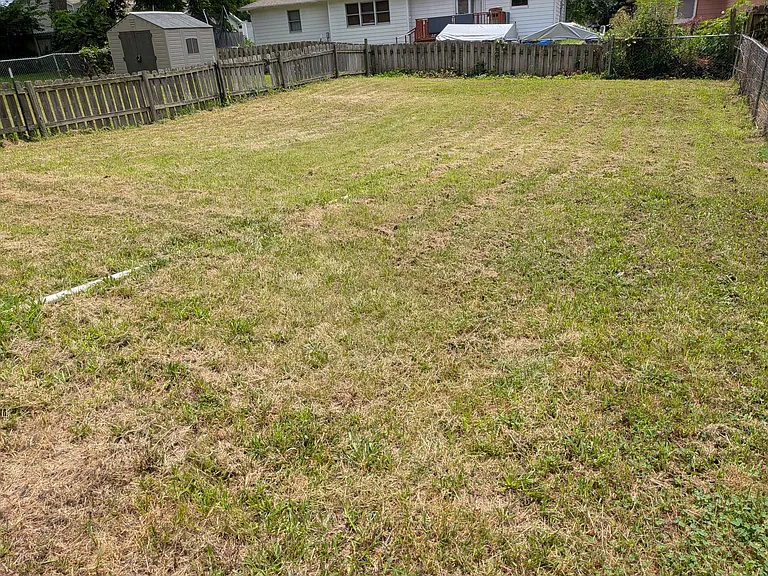 Fenced backyard