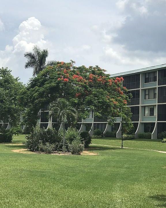 1st image of 979 E Gulf Dr Unit 313