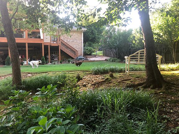 The dogs belong to the owners. No pets.