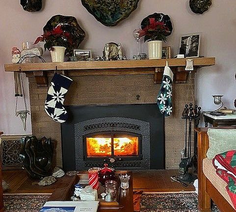 Living room fireplace.