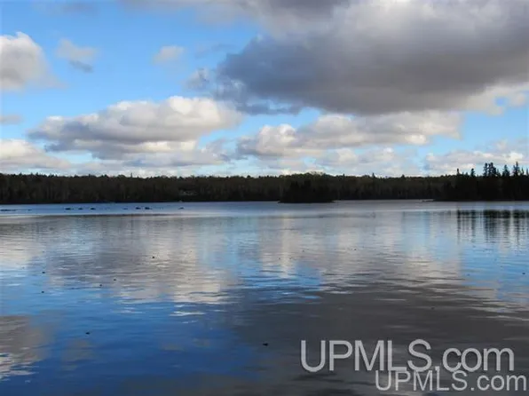 39 N Fence Lake Dr, Michigamme, MI 49861