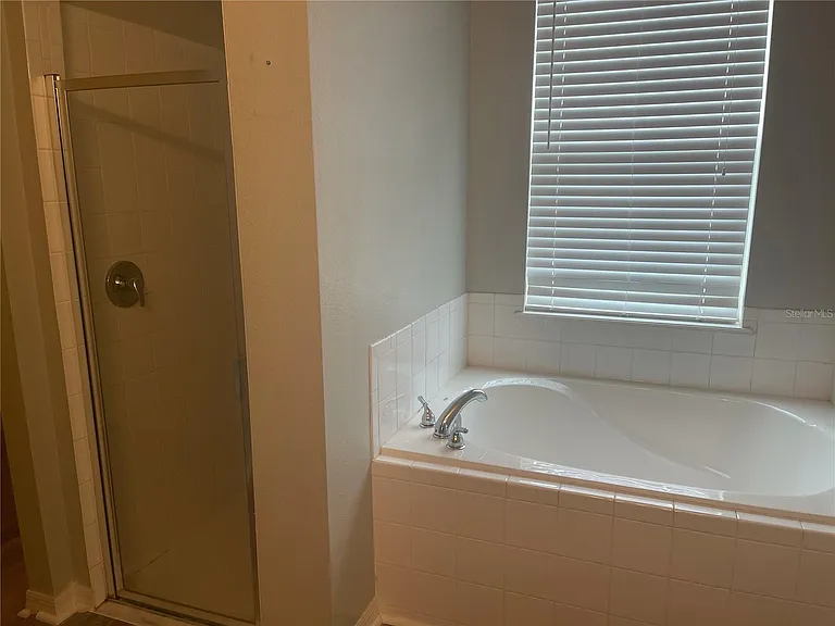 Primary Bathroom with soaker tub and stand alone shower