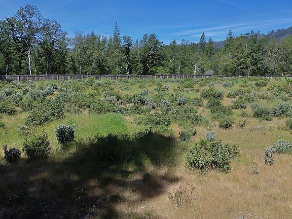 3rd image of 1321 Brady Rd