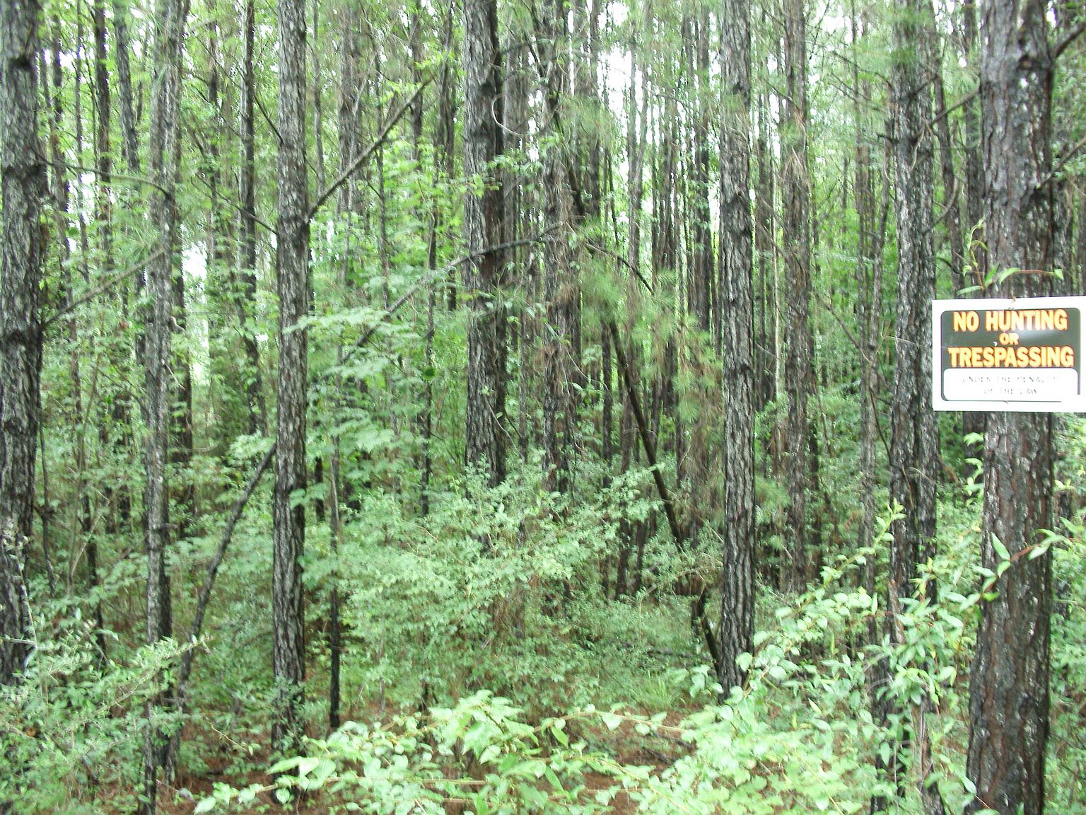 Delk Rd LOT WP001, Moselle, MS 39459 | Zillow