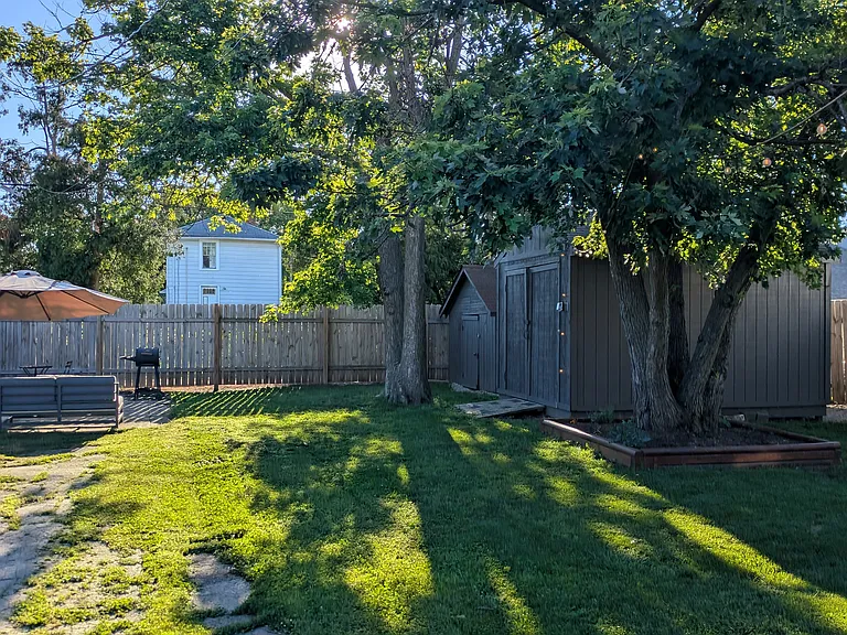 Backyard