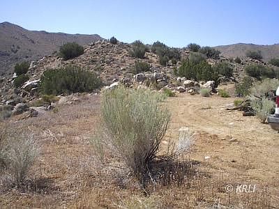 5th image of 7730003 Lobo Rd