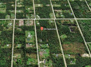 1350 Hazelnut St, Bunnell, FL 32110