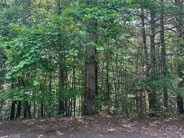 28 Aspen Ct, Ellijay, GA 30540