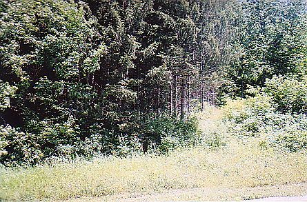 2nd image of E4650 Irish Ridge Rd