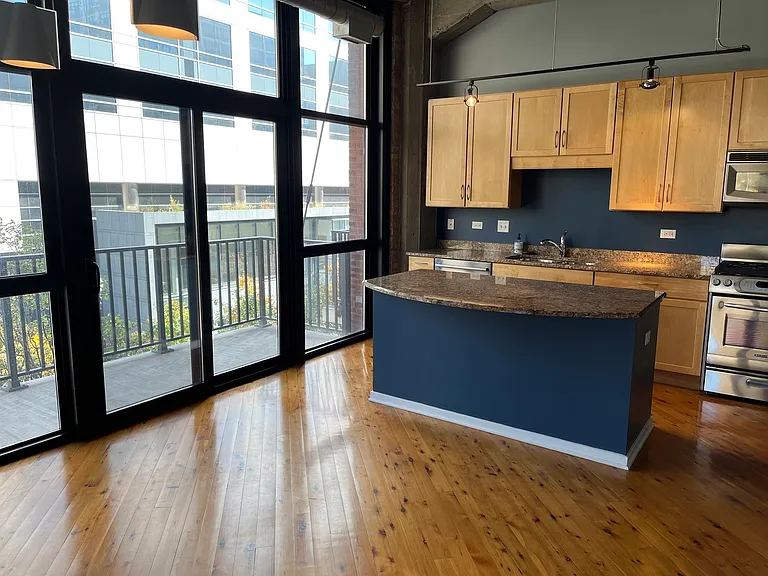210 S Desplaines St #307 — Photo 7