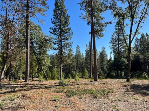 010441 Buffington Ct, Nevada City, CA 95959