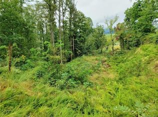 117 Luther Cove Rd, Candler, NC 28715