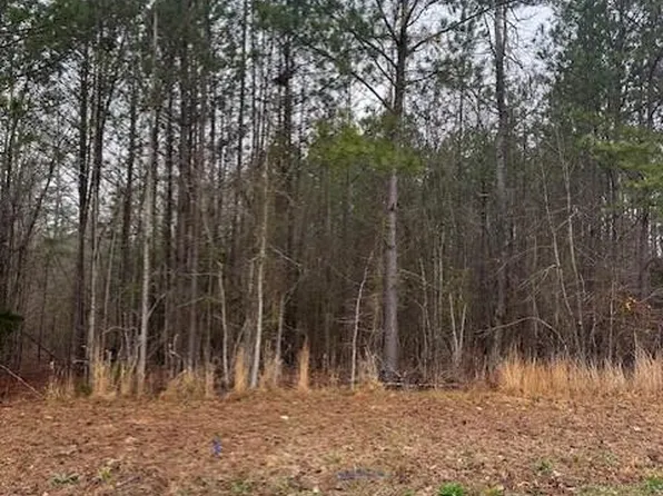 21 Long Cove Drive, Lincolnton, GA 30817