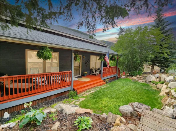 1113 Biddle Street, Georgetown, CO 80444