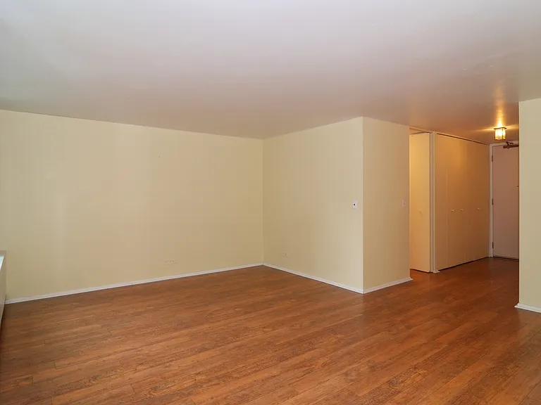 400 E Randolph St #2022 — Photo 4