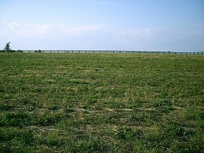 4th image of 191 Chrisman Oaks Trl