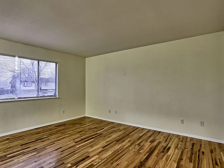 1137 Timber Ln — Photo 11