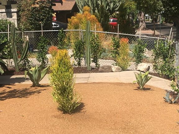 6054 Selma Ave Front Yard