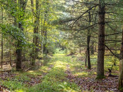 000 Pine Grove Road, Kerhonkson, NY, 12446