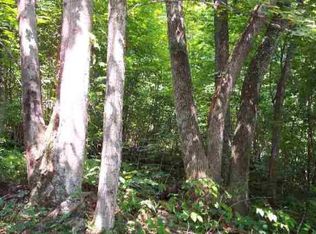 Wittens Mill Rd, North tazewell, VA 24630