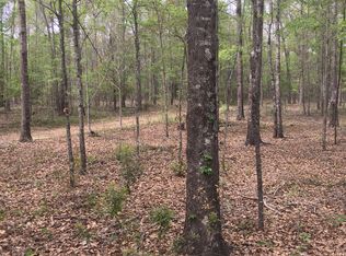 Johnny Murphy Rd, Rehobeth, AL 36301