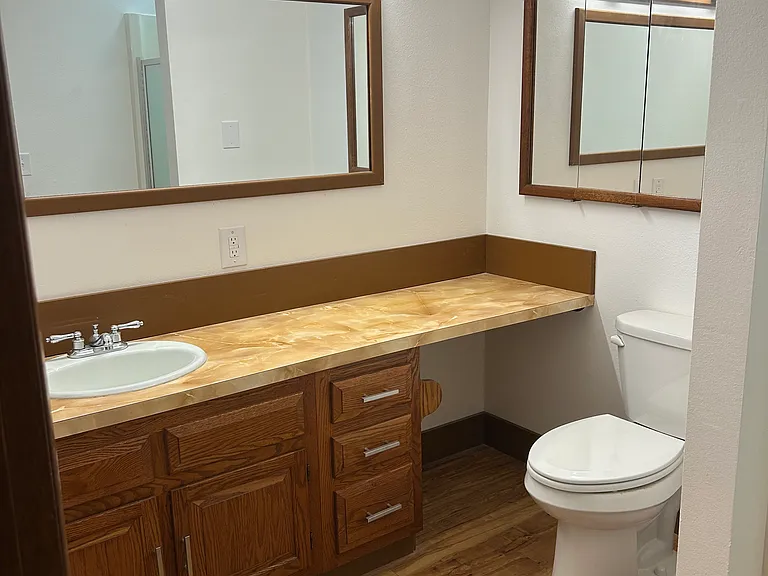 471 E Michelle Dr — Photo 50