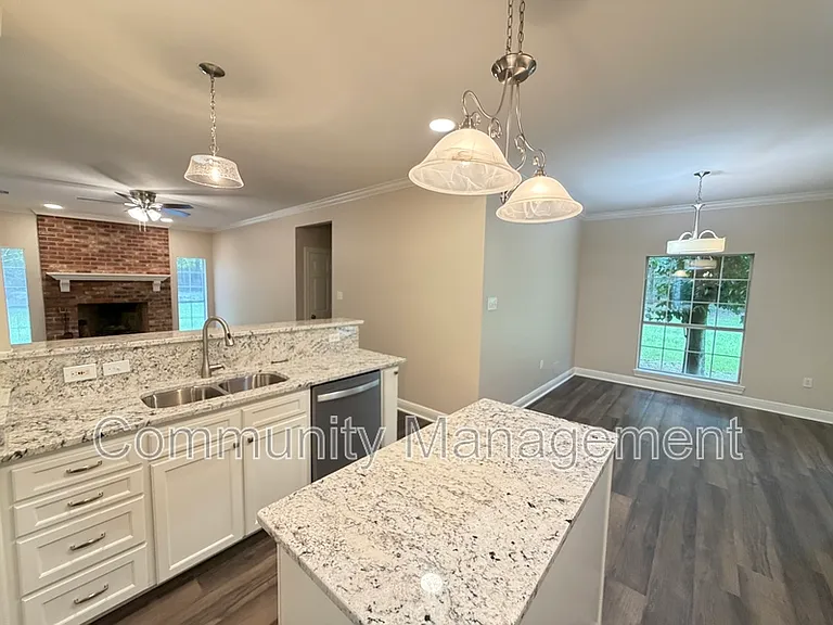 11275 Otto Odom Cir — Photo 23