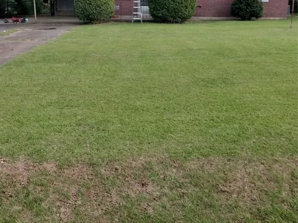 904 E California Ave, Ruston, LA 71270