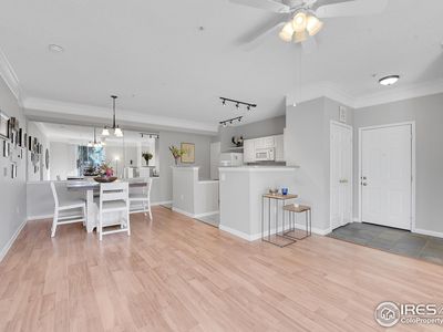 1676 Harris St 4, Louisville, CO, 80027