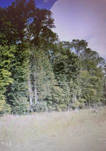 4 Hodges Dairy Rd #4, Yanceyville, NC, 27379