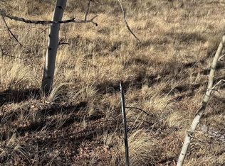 381 Remington Rd, Como, CO 80432