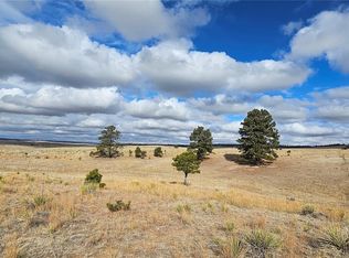 23895 County Road 144 LOT 1, Agate, CO 80101
