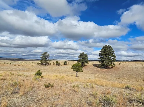 23895 County Road 144 LOT 1, Agate, CO 80101
