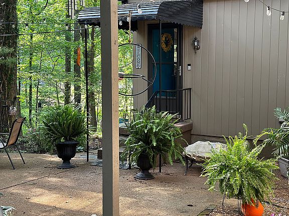 Back door 