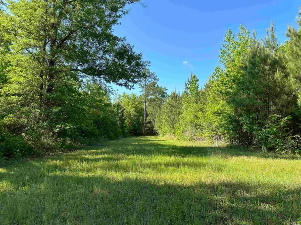 TBD McDonald Rd., Greeleyville, SC 29056