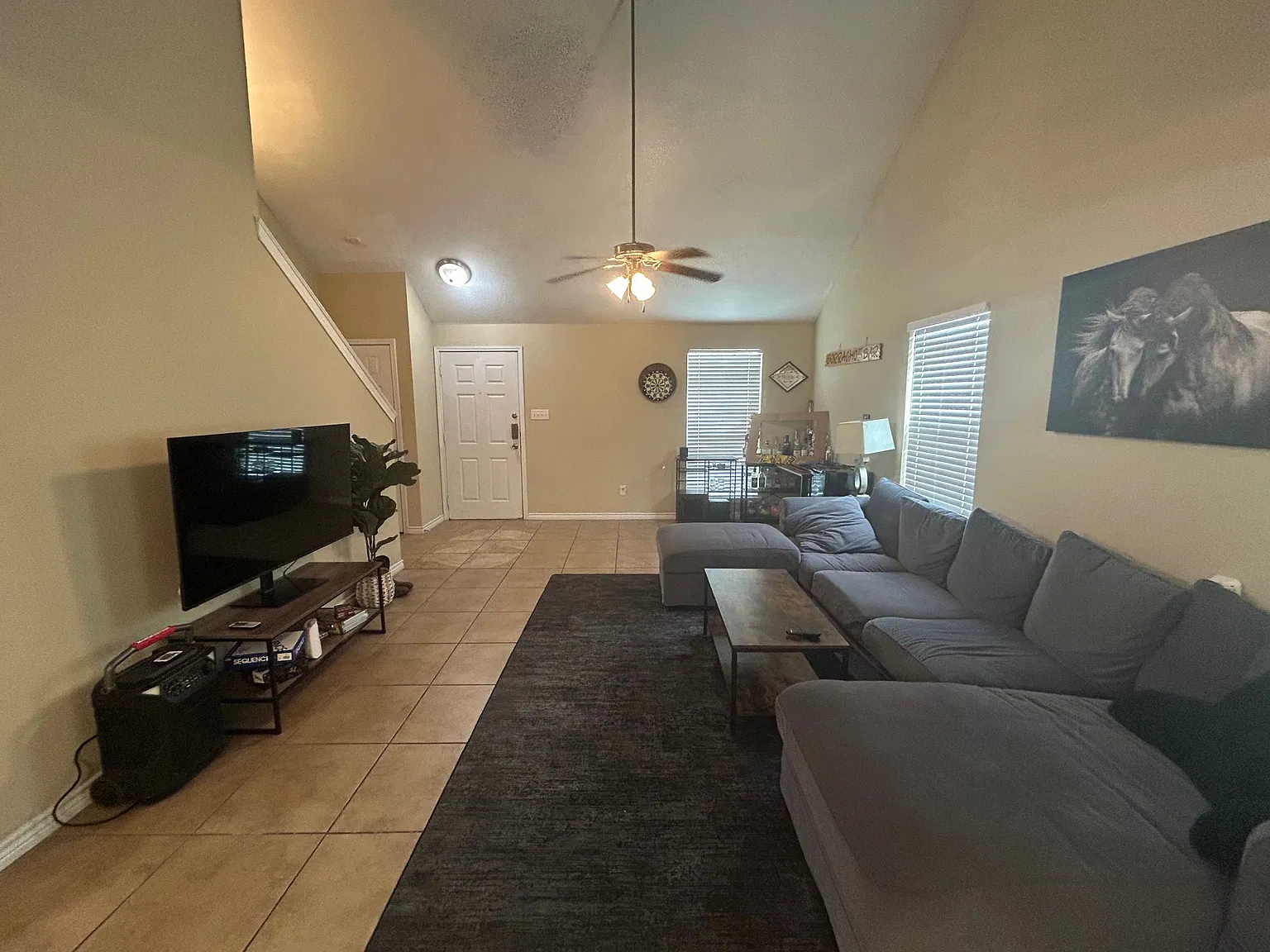 2502 Horse Shoe - 1 — Photo 4