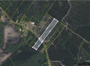 0 Nash Rd, Ridgeville, SC 29472