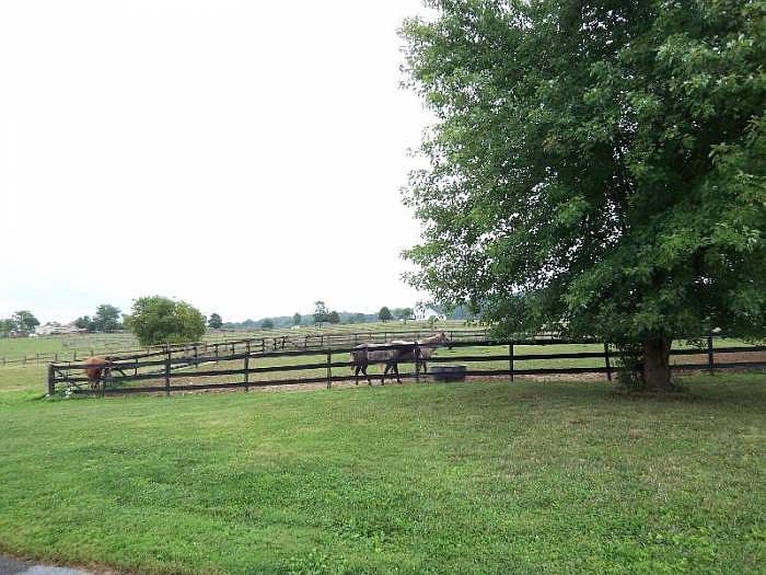 1024 Macintosh Dr, Falling Waters, WV 25419 Zillow