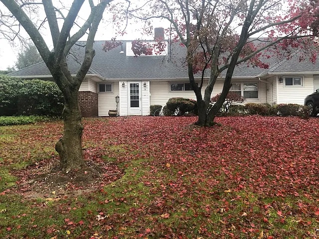 14 Peachtree Ln