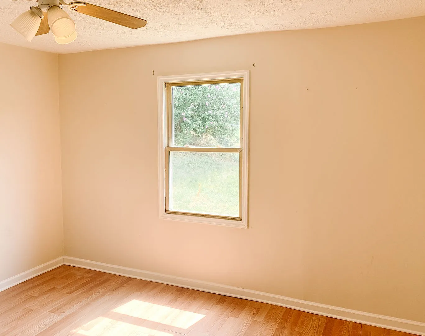 2 Bedroom, 1 Bath House — Photo 4